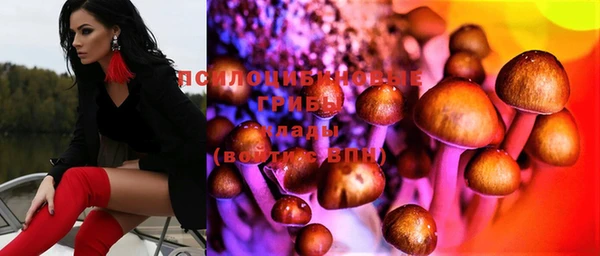 гашик Осташков