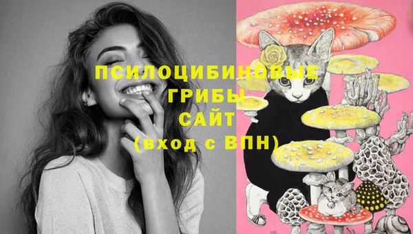 гашик Осташков