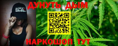 мяу мяу мука Аргун
