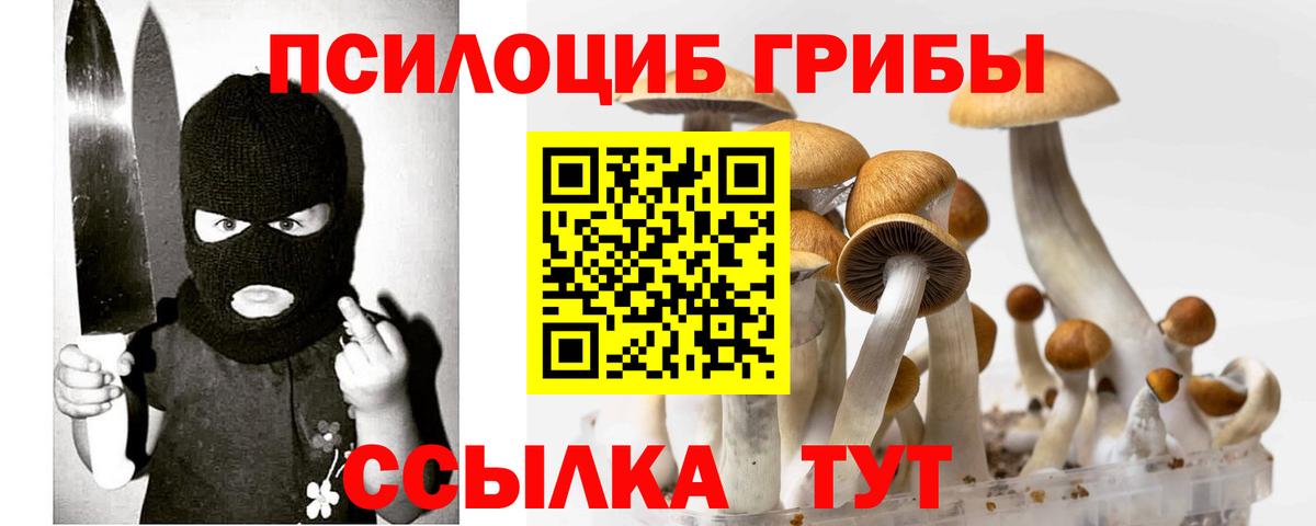 Псилоцибиновые грибы ЛСД  Галлюциногенные грибы прущие грибы  Нефтекамск  Вход с VPN 