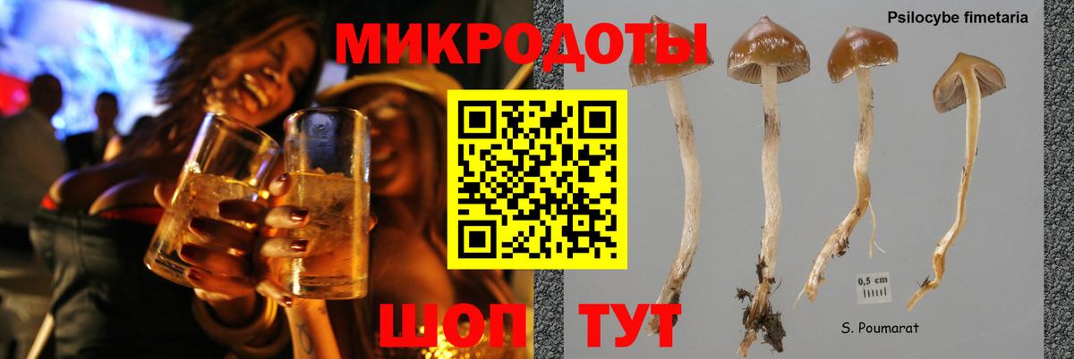 Псилоцибиновые грибы Cubensis Нефтекамск